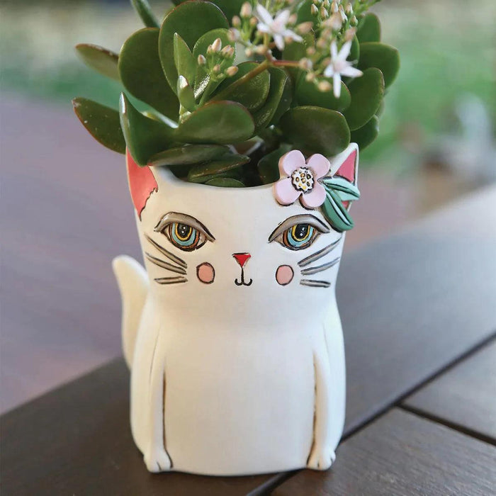 Allen Design Pretty Kitty Planter | {{ collection.title }}