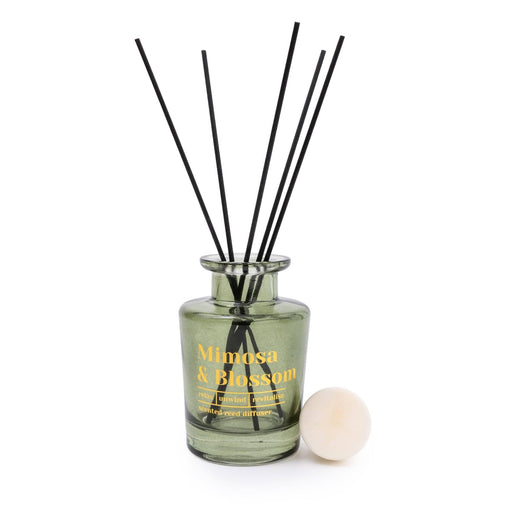 Candlelight Olive Mimosa & Blossom Reed Diffuser Mimosa Scent (200ml) | {{ collection.title }}