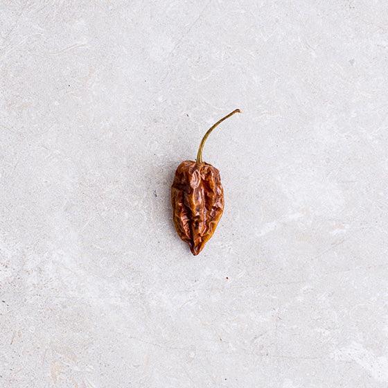 Cool Chile Habanero Whole (20g) | {{ collection.title }}