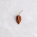 Cool Chile Habanero Whole (20g) | {{ collection.title }}