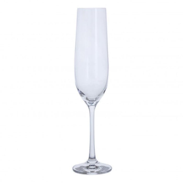 Dartington Champagne Flute (Set of 6) | {{ collection.title }}
