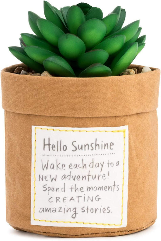 Demdaco - Plant Kindness Sunshine"" | {{ collection.title }}