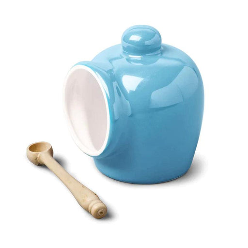 WM Bartleet & Sons - Traditional Salt Pig with Spoon - Blue | {{ collection.title }}