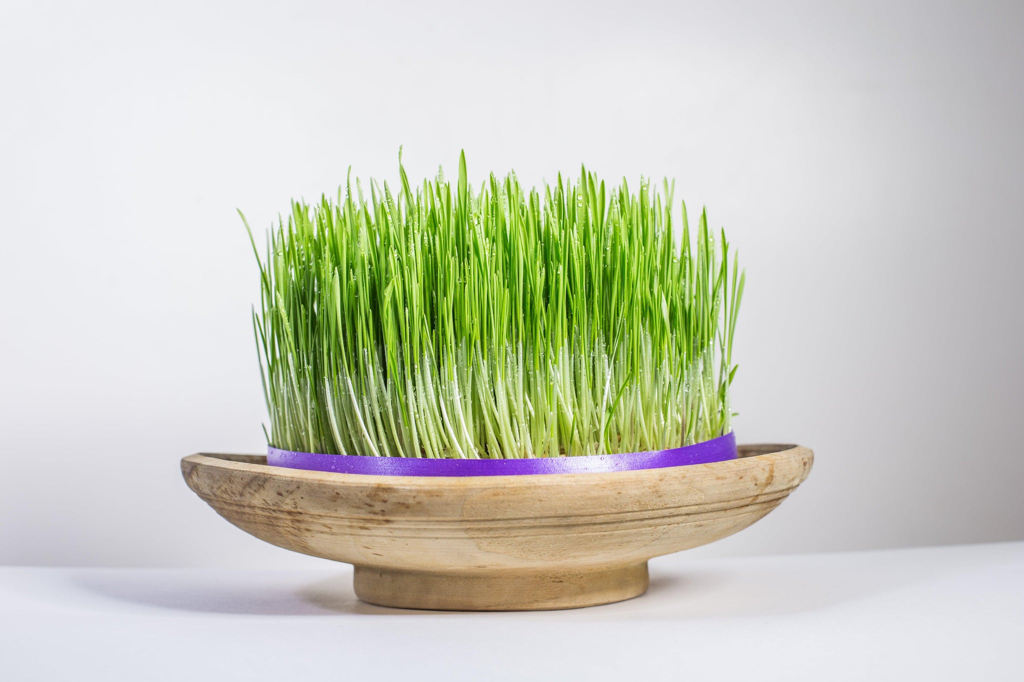 Nowruz. A brief history .. - LemonSalt