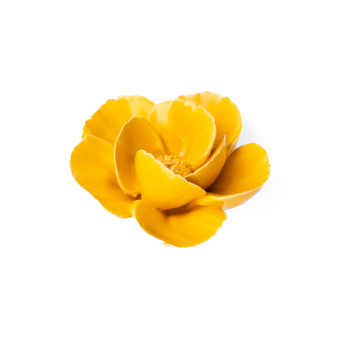 Chive - France Ceramic Flower Yellow Lotus