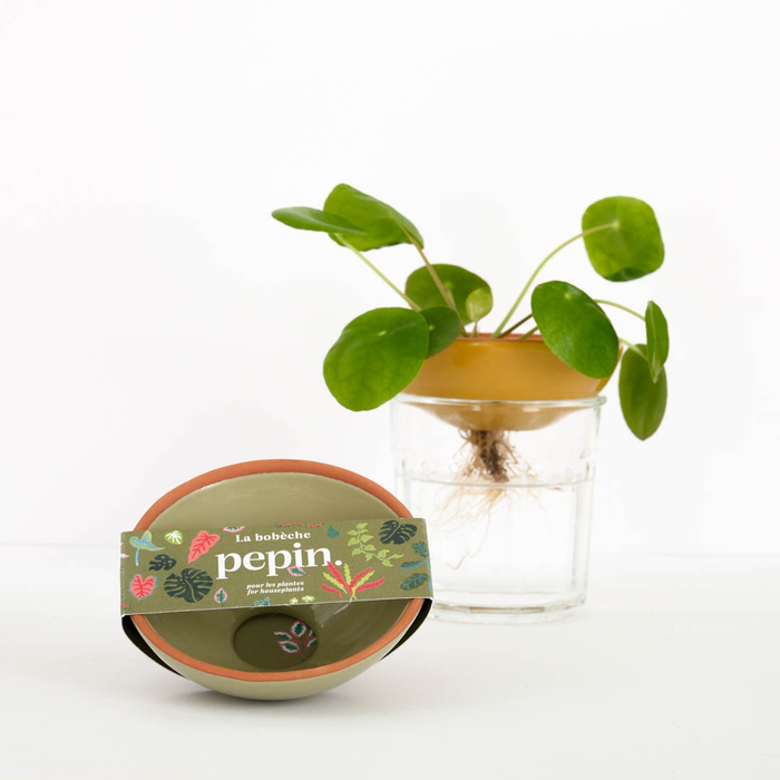 Pepin Bobèche Plants - Sage green