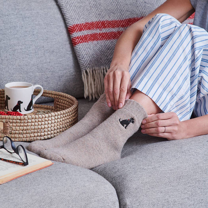 Sweet William Dog Walking Socks - Cocker Spaniel (Black)