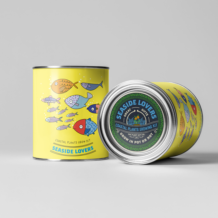 The Plant Gift Co. Seaside Lovers Eco Grow Your Own Plant Kit
