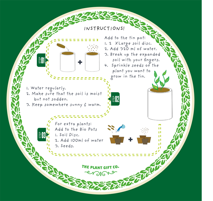 The Plant Gift Co. Big Bee Happiness Eco Plant Grow Kit