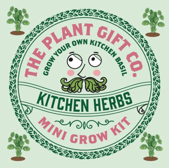 The Plant Gift Co. Kitchen Herb Eco Mini Basil Grow Kit