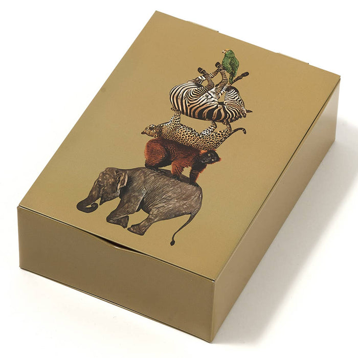 Gangzai Design Rectangular Metal box Culbuto