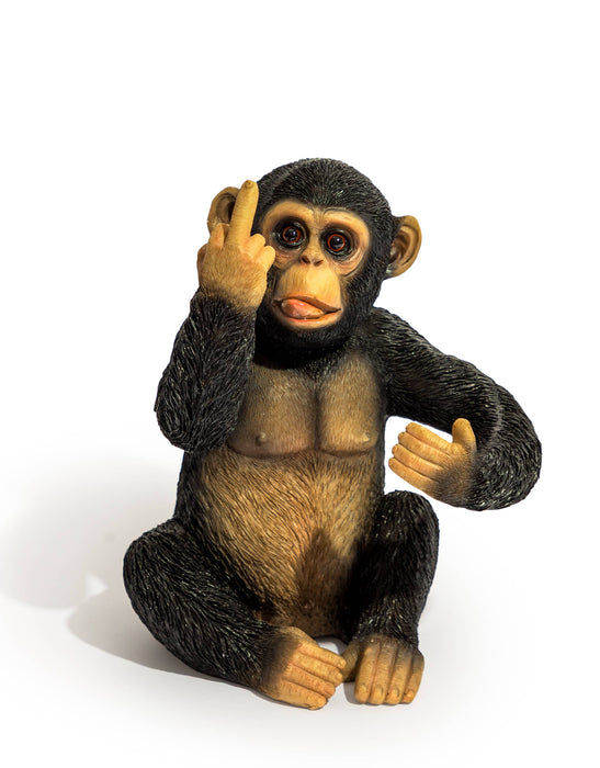 Cheeky Monkey Bottle Holder