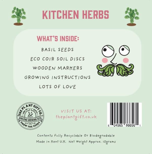The Plant Gift Co. Kitchen Herb Eco Mini Basil Grow Kit