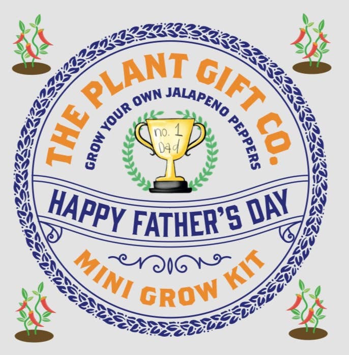 The Plant Gift Co. Happy Father's Day Eco Mini Chilli Grow Kit