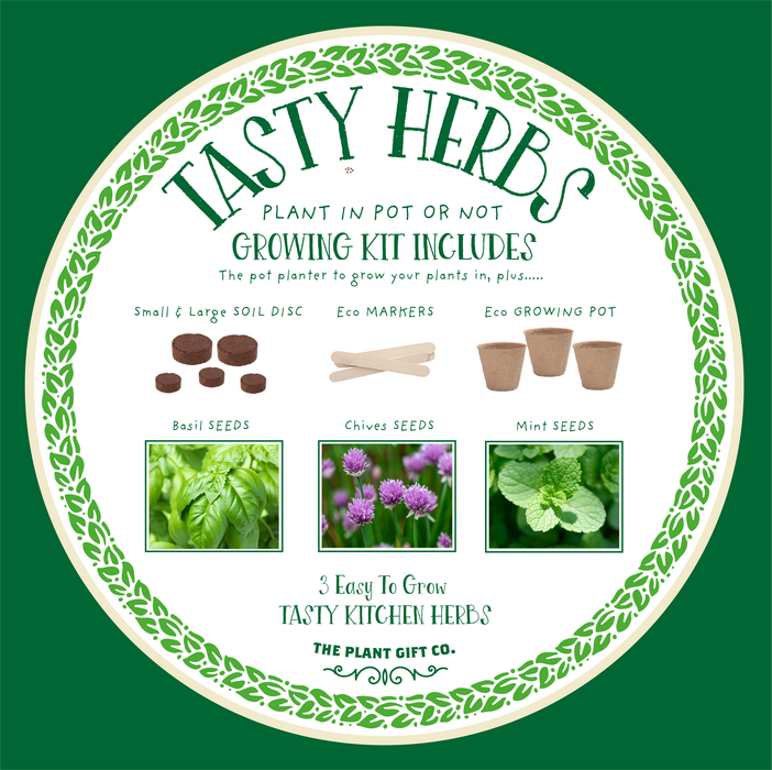 The Plant Gift Co. Tasty Herbs Eco Grow Your Own Herbs Kit