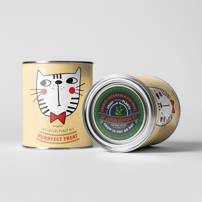 The Plant Gift Co. Purrfect Treat Eco Grow Your Own Plant Kit