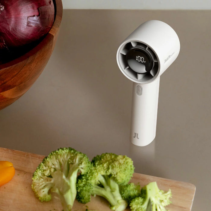 JisuLife Life10 S Handheld Fan in Grey