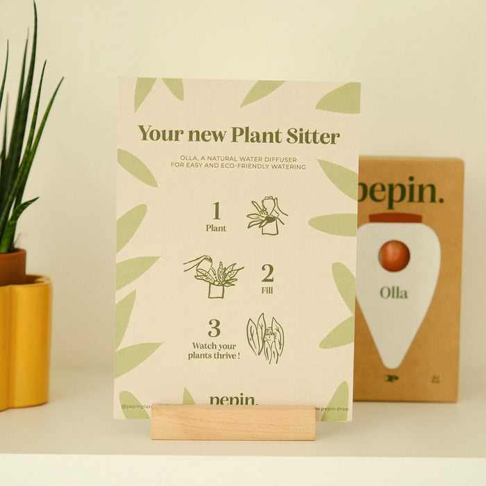 Pepin Olla - Mustard yellow