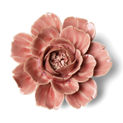 Chive - English Garden Champagne Ceramic Pink Rose Flower