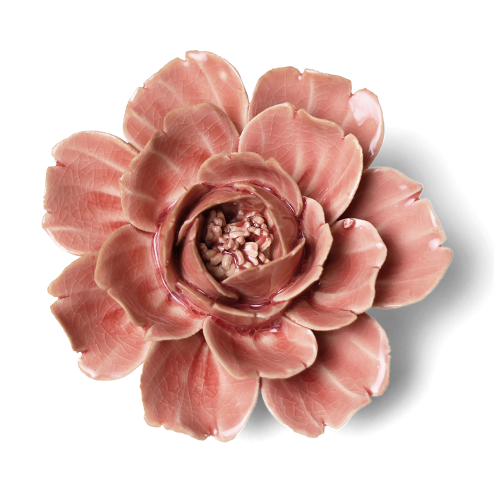 Chive English Garden Champagne Ceramic Pink Rose Flower