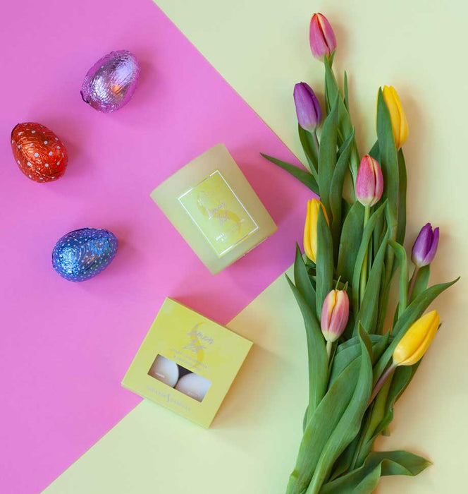 Shearer Candles Lemon Zest Tealights