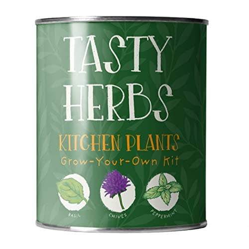The Plant Gift Co. Tasty Herbs Eco Grow Your Own Herbs Kit
