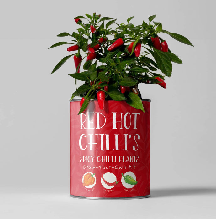 The Plant Gift Co. Red Hot Chilli's. Eco Grow Your Chilli Plant Kit