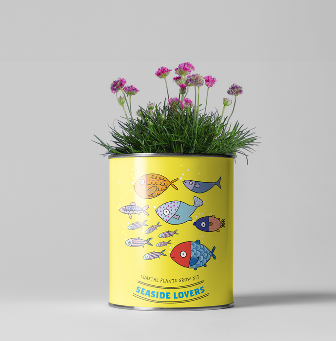 The Plant Gift Co. Seaside Lovers Eco Grow Your Own Plant Kit