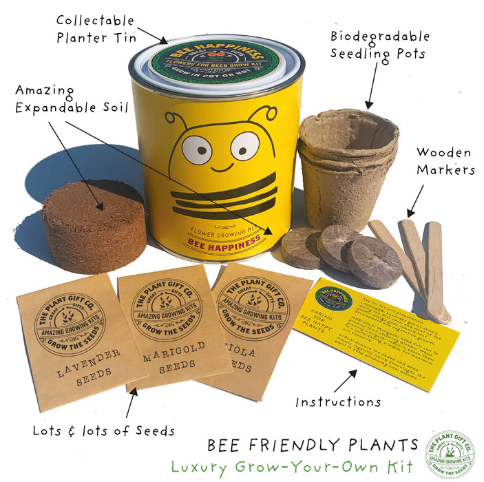 The Plant Gift Co. Big Bee Happiness Eco Plant Grow Kit
