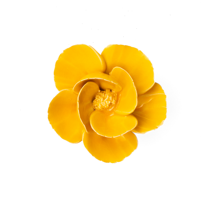 Chive - France Ceramic Flower Yellow Lotus