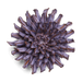 6bf4757a1a554517eed2e02a7f7d15b0388bb6edca872404cde360c8d165e7e8
