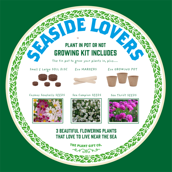 The Plant Gift Co. Seaside Lovers Eco Grow Your Own Plant Kit