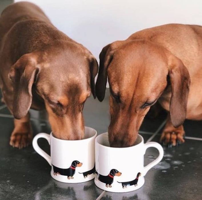 Sweet William Mischievous Mutts Dog Mug - Dachshund / Sausage Dog
