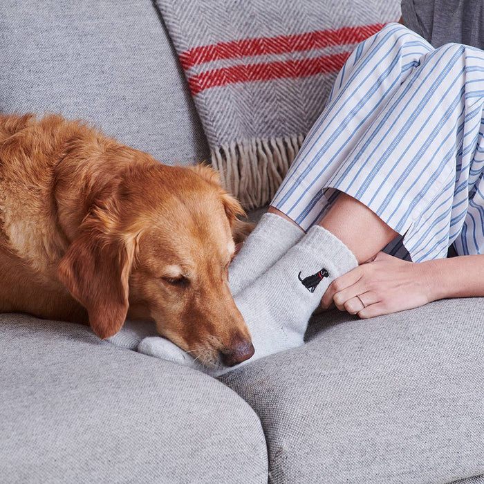 Sweet William Dog Walking socks - Black Labrador