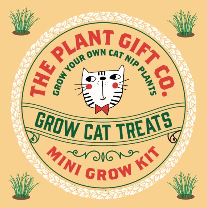The Plant Gift Co. Grow Cat Treats Cat Lovers Eco Mini Grow Kit