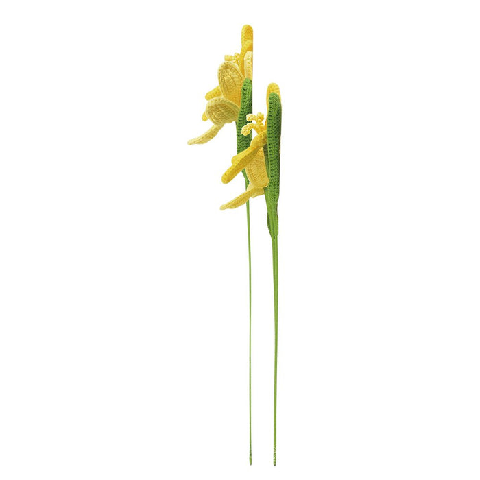 Woolie Yellow Tulips - Assorted (35cm)