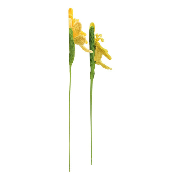 Woolie Yellow Tulips - Assorted (35cm)