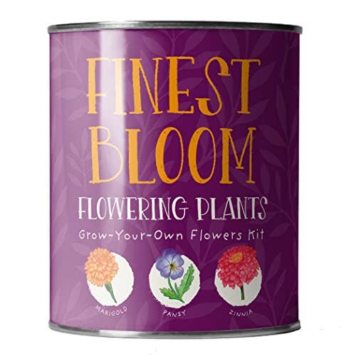 The Plant Gift Co. Finest Blooms Eco Grow Your Own Flowers Kit.