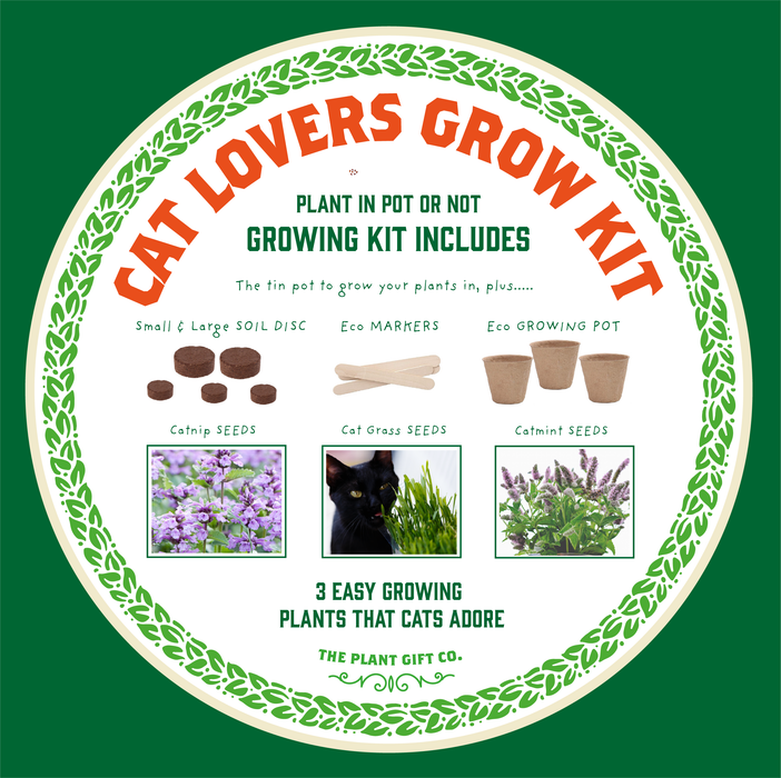 The Plant Gift Co. Purrfect Treat Eco Grow Your Own Plant Kit