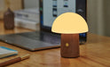 Gingko-Alice-Mushroom-Lamp_Mini17-2048x1241_b51d0eab-33f2-41b9-a209-eb6b21ecefbd