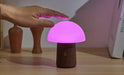 Gingko-Alice-Mushroom-Lamp_Mini19-2048x1241_b906452a-1c46-47e1-b0a5-dd79a6882ec4