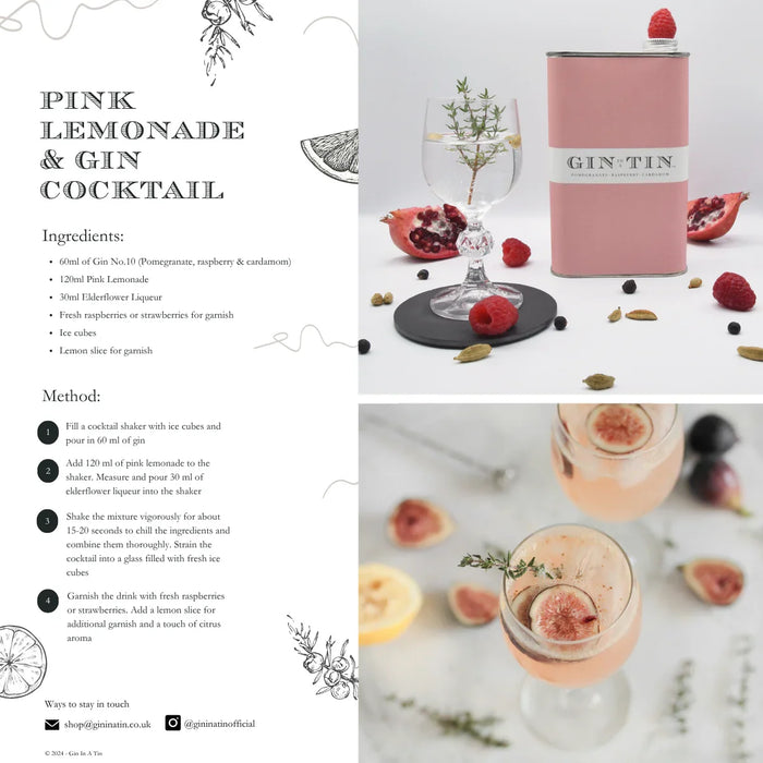 Gin In A Tin – No. 10 Pomegranate Raspberry & Cardamom Gin (50cl)