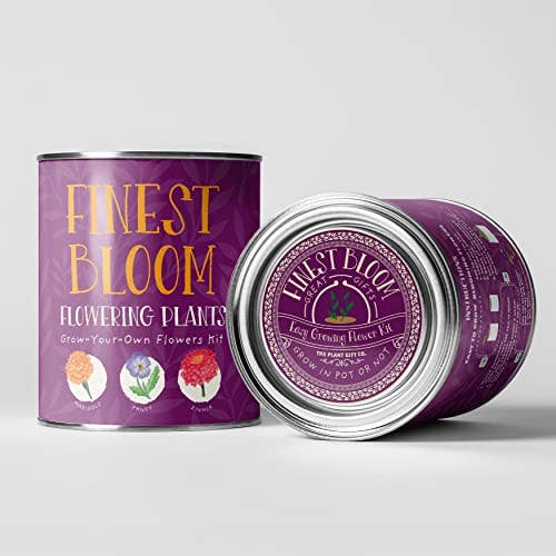 The Plant Gift Co. Finest Blooms Eco Grow Your Own Flowers Kit.