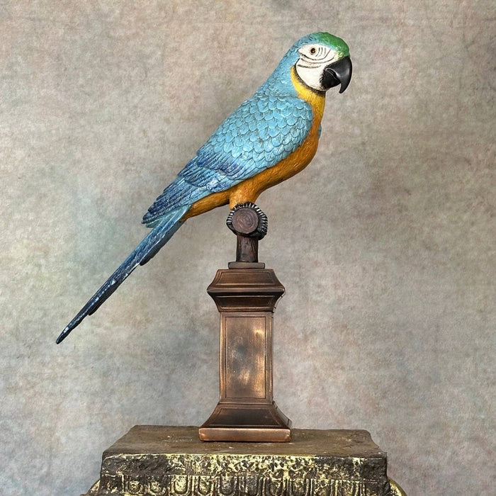 Bentley & Bo - Macaw The Parrot Figurine
