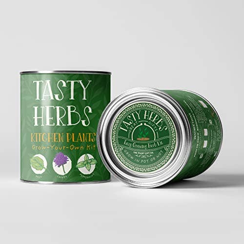 The Plant Gift Co. Tasty Herbs Eco Grow Your Own Herbs Kit