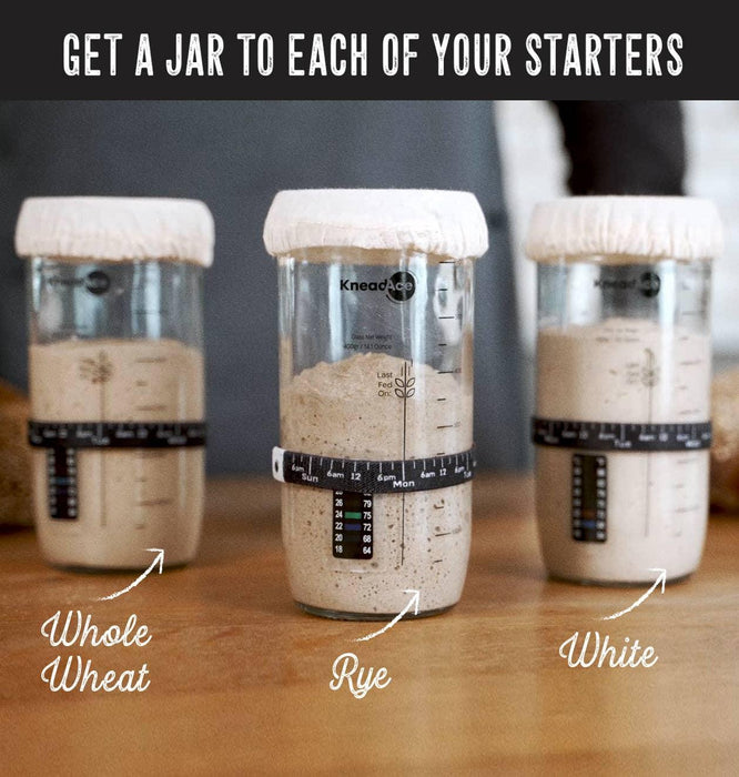 KneadAce Sourdough Starter Jar (24oz)