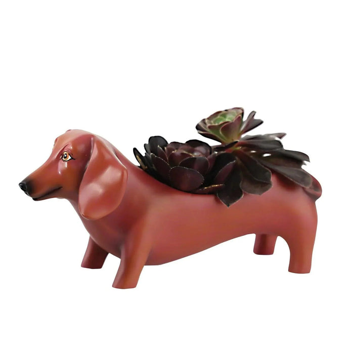 Allen Designs Baby Oscar Planter 10cm