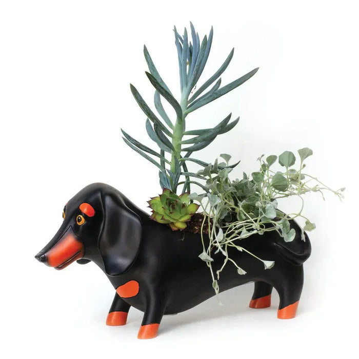 Allen Designs Otis Planter