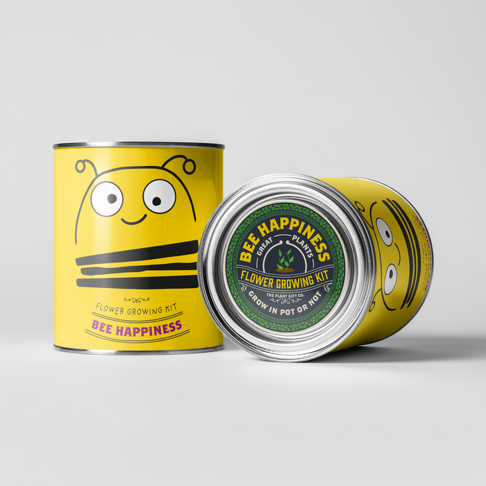 The Plant Gift Co. Big Bee Happiness Eco Plant Grow Kit