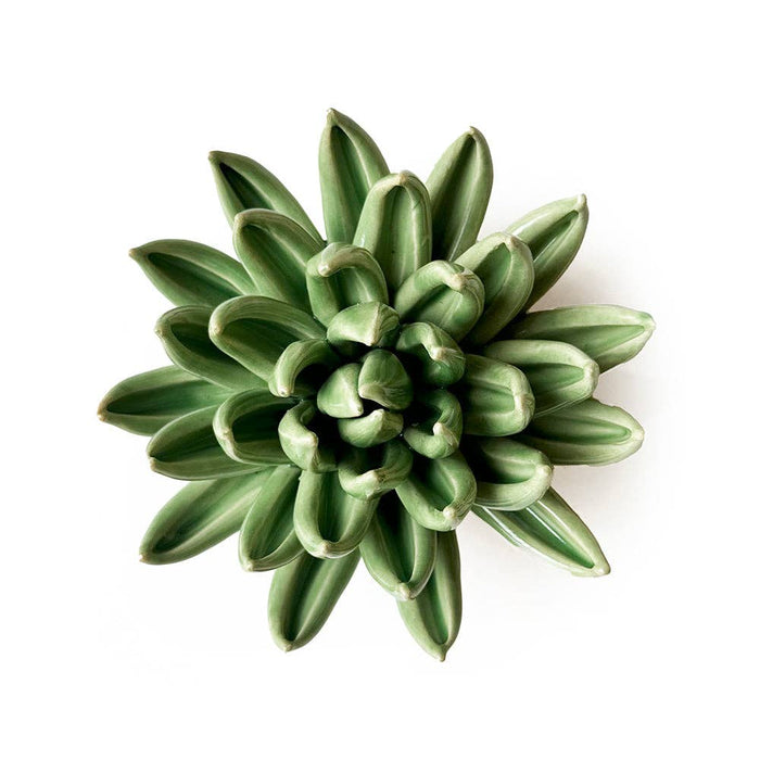 Chive English Garden Ceramic Flower Green Large Succulent